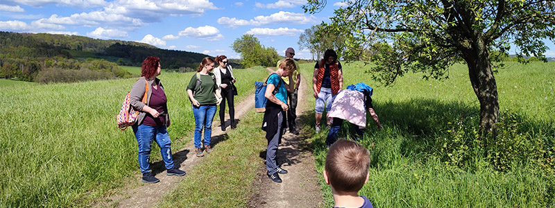 Kräuterspaziergang Wiesenkost